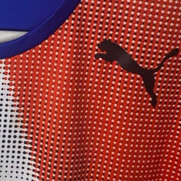 Puma Men’s Sz Sm Italy Country Emblem Tech Running Dri Wick Tee Shirt - Picture 3 of 5